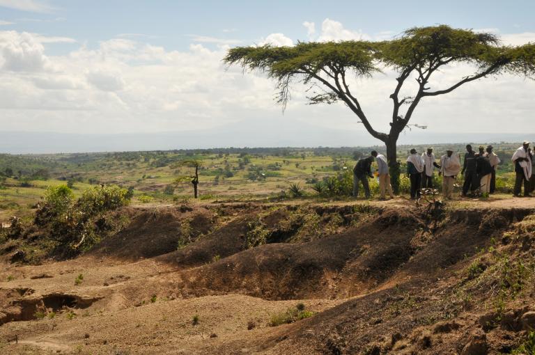 Ethiopia Restoration
