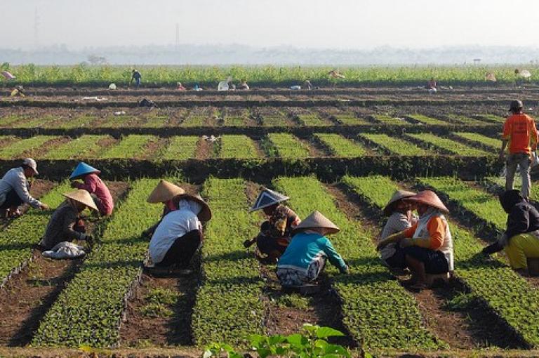 Indonesia Food Loss and Waste Action Partnership