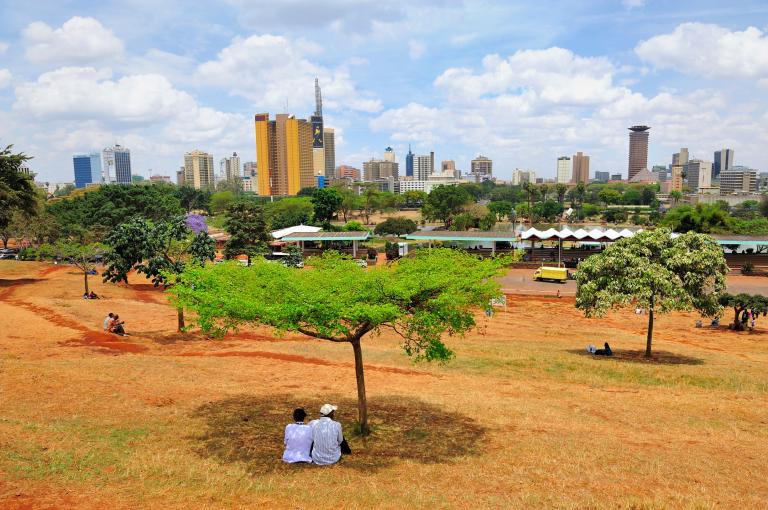 kenya banner