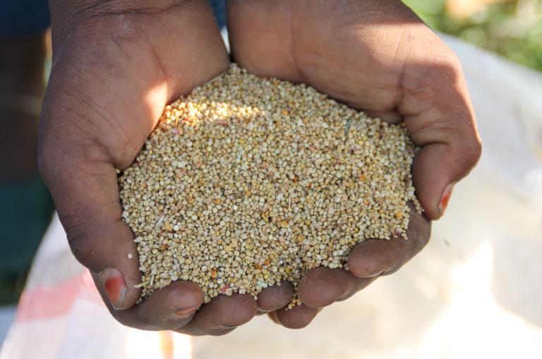 Sustainable Food Platform