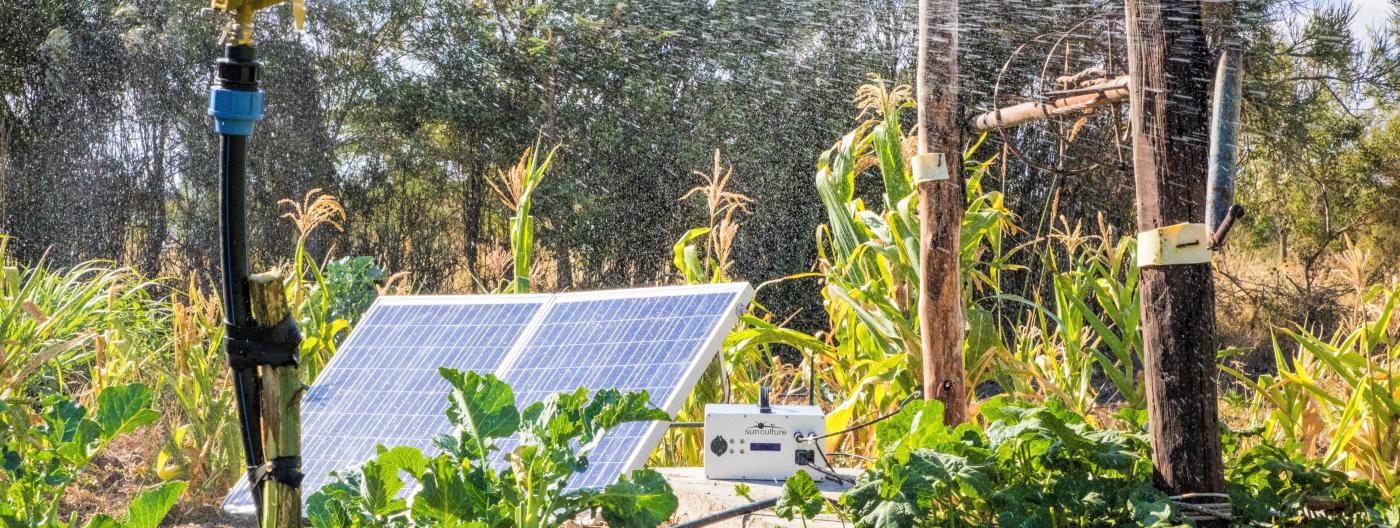 Smallholder Solar Pump Alliance P4g