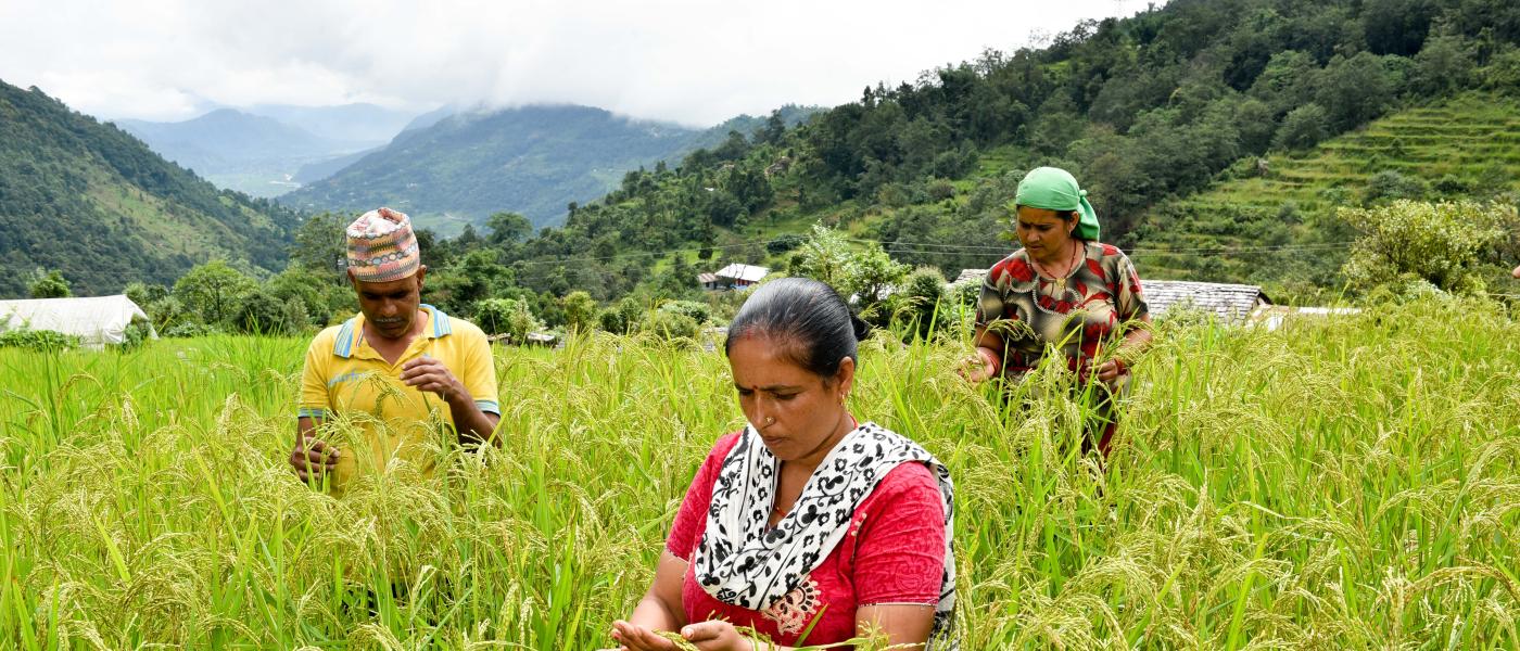 nepalese women farmers