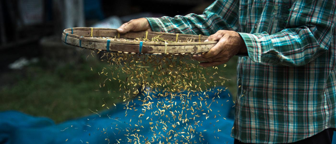 sifting