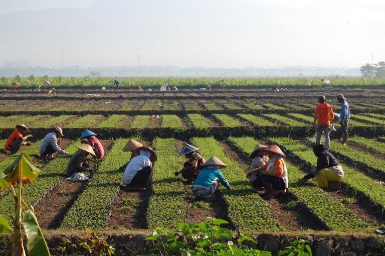 Indonesia Food Loss and Waste Action Partnership Thumbnail