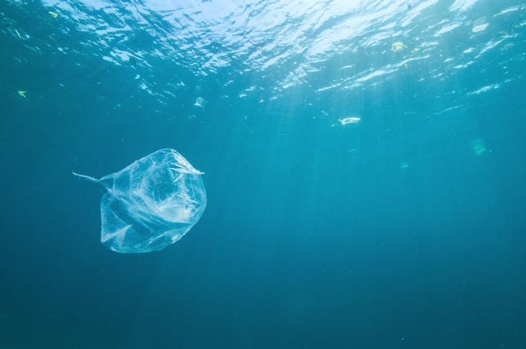 next wave plastic