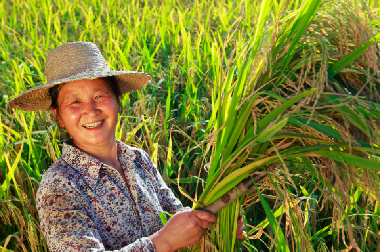 Women's Livelihood Bond Series